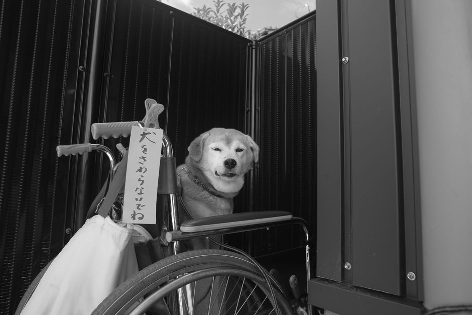 ＃屋内, アクセス可能, インドアの無料の写真素材