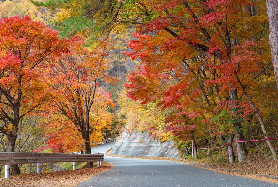 紅葉と温泉を楽しむ関東2026 見頃カレンダー・日帰り・塩原・箱根・四万など